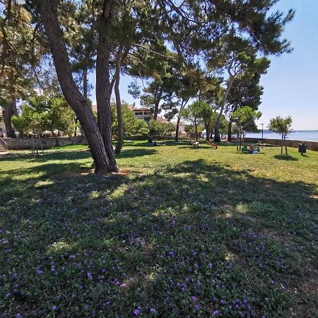 Nina Deluxe Superior 5 Star Apartment, Your Piece Of Heaven By The Sea & Park Novigrad  Zewnętrze zdjęcie