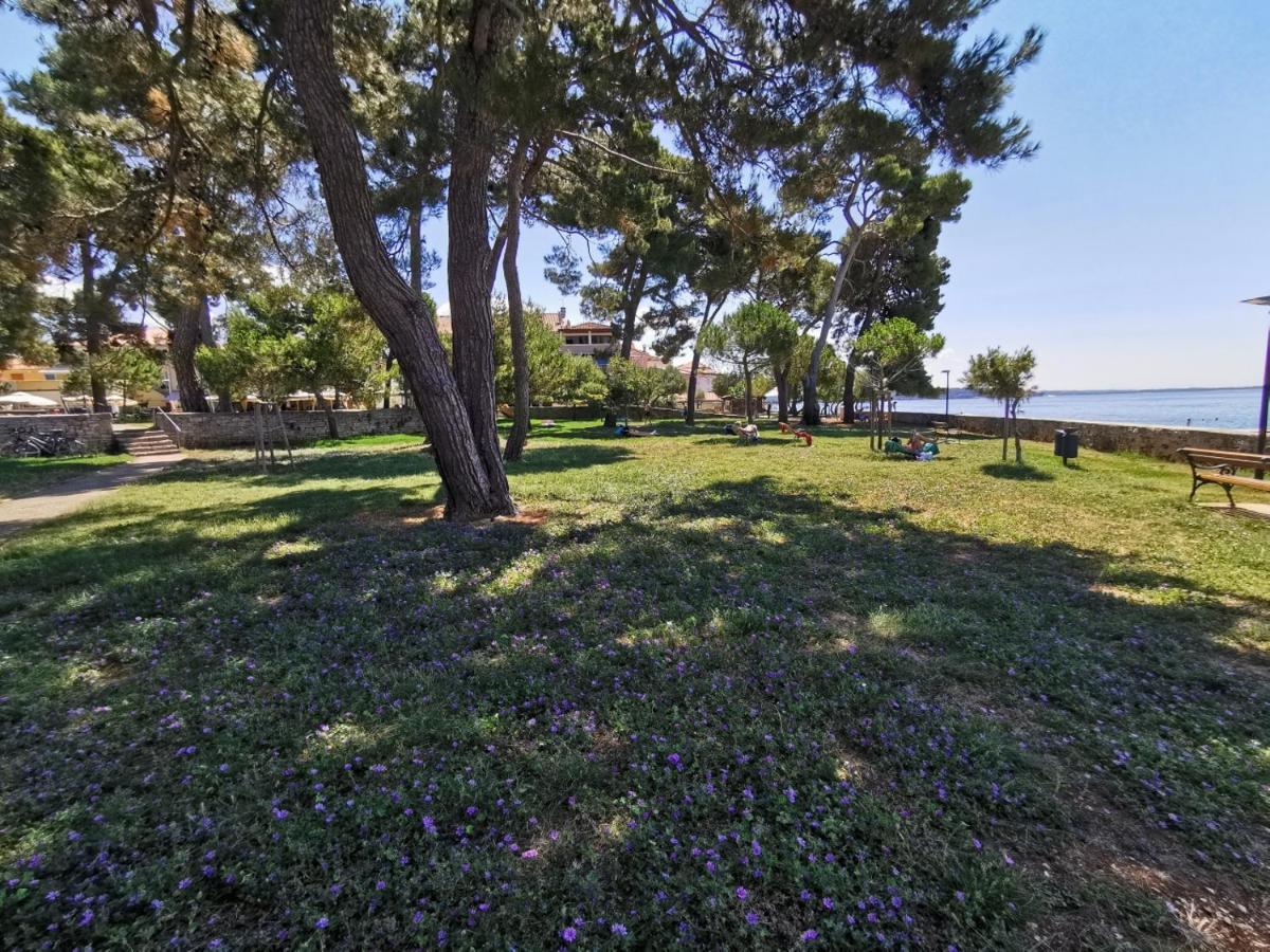 Nina Deluxe Superior 5 Star Apartment, Your Piece Of Heaven By The Sea & Park Novigrad  Zewnętrze zdjęcie