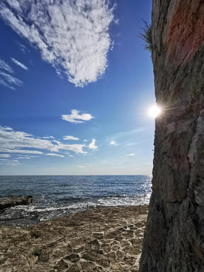 Nina Deluxe Superior 5 Star Apartment, Your Piece Of Heaven By The Sea & Park Novigrad  Zewnętrze zdjęcie